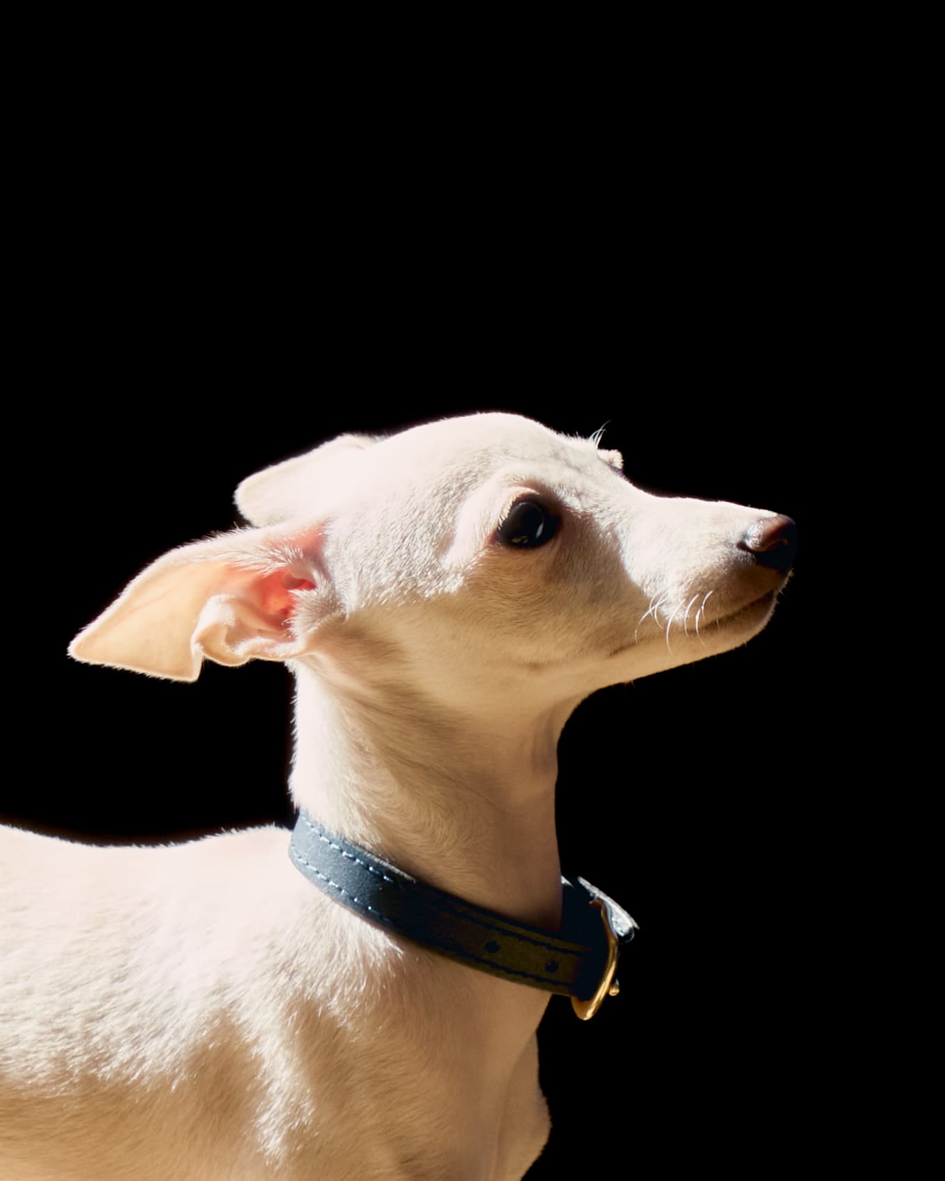 Уход за кожей